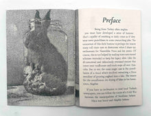 Load image into Gallery viewer, Donkey's Years: Censored Tales of Nasreddin Hoca